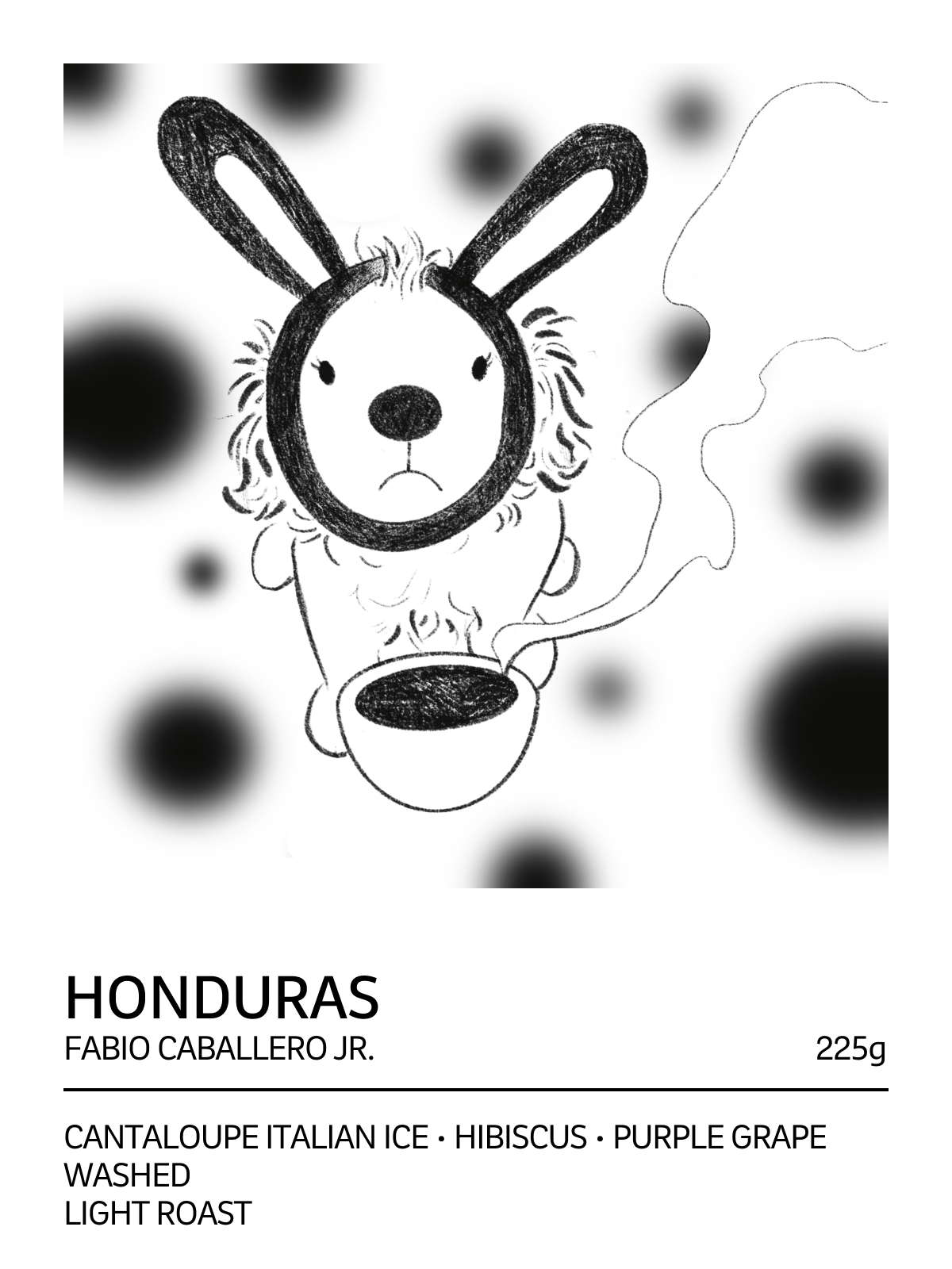 Honduras Fabio Caballero Jr. Washed